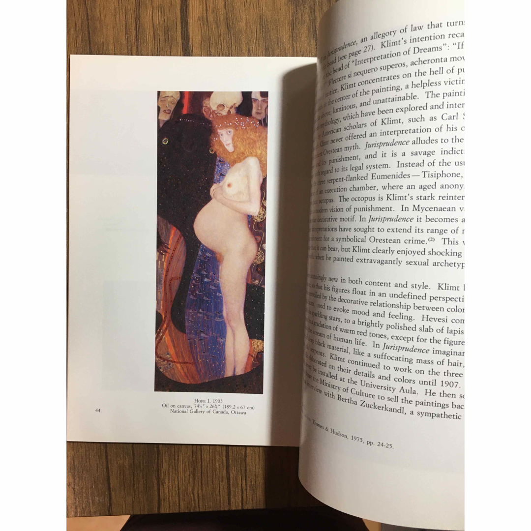 KLIMT クリムト エンタメ/ホビーの本(洋書)の商品写真