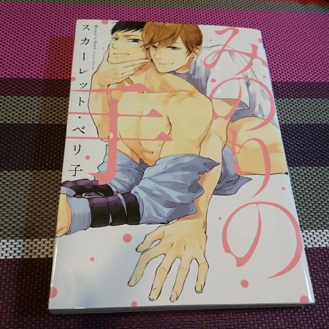 みのりの手 エンタメ/ホビーの漫画(ボーイズラブ(BL))の商品写真