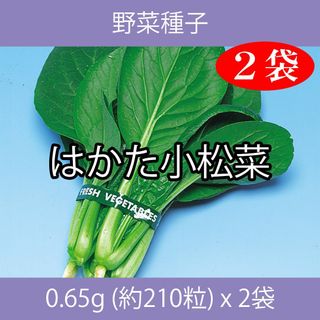 野菜種子 EBQ はかた小松菜 0.65g(約210粒) x 2袋(野菜)