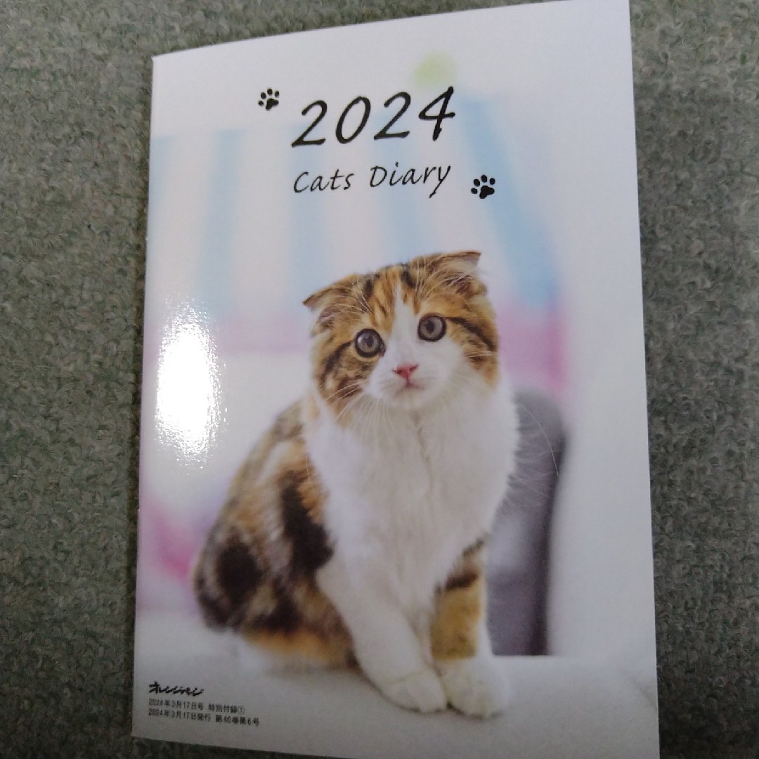 2024 Cats Diary オレンジページ2024.3/17付録 インテリア/住まい/日用品の文房具(カレンダー/スケジュール)の商品写真