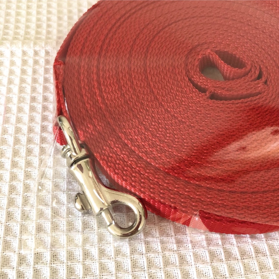 ロングリード 10m【幅1cm⠀】赤  ハンドメイドのペット(リード/首輪)の商品写真
