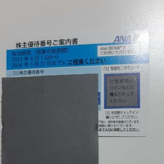 ANA 株主優待 特典航空券(その他)