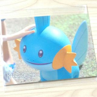 ポケモン(ポケモン)の【ポケモンセンター限定】ポケモンコンシェルジュ 非売品ステッカー ミズゴロウ(キャラクターグッズ)