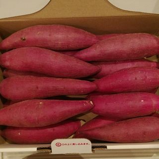 52 千葉県産　べにはるか　さつまいも　サツマイモ　約1.2㎏(野菜)