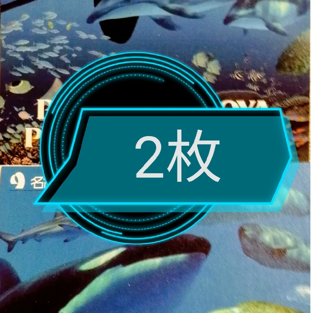 名古屋港水族館チケット高校生2枚 チケットの施設利用券(水族館)の商品写真
