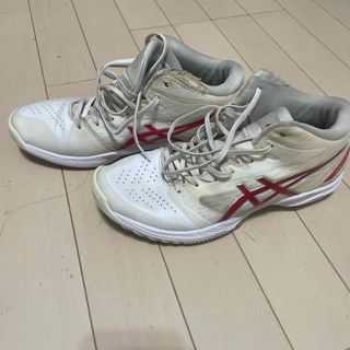 アシックス(asics)のゲルフープ11 アシックス asics GELHOOP V11 (バスケットボール)