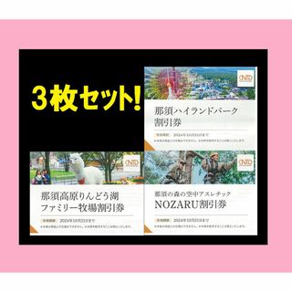 ◆3枚 那須ハイランドパーク 那須高原りんどう湖ファミリー牧場　割引券(遊園地/テーマパーク)