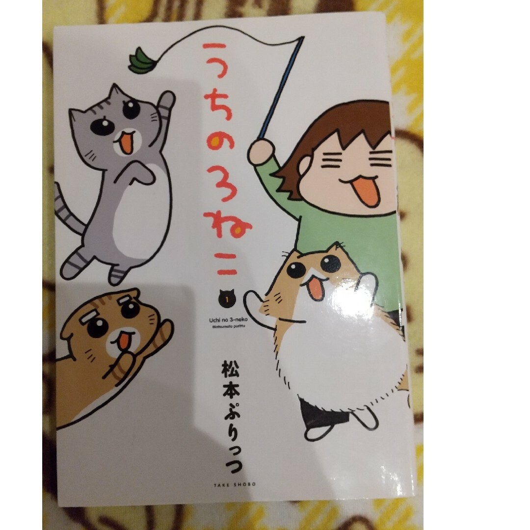 うちの３ねこ エンタメ/ホビーの漫画(その他)の商品写真