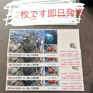 新江ノ島水族館　水族館　チケット　江の島水族館　えのすい　4枚(水族館)