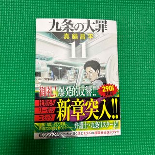 九条の大罪(青年漫画)