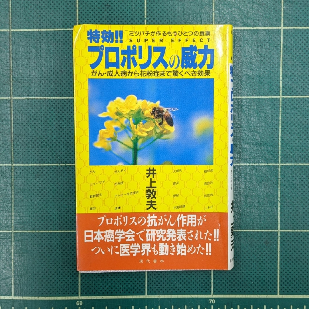 【匿名配送】特効！！プロポリスの威力 エンタメ/ホビーの本(その他)の商品写真