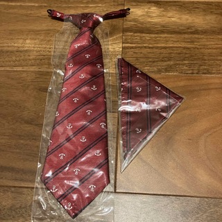 未使用 ネクタイ ポケットチーフ セット ワインレッド系 フォーマルスーツに(ドレス/フォーマル)