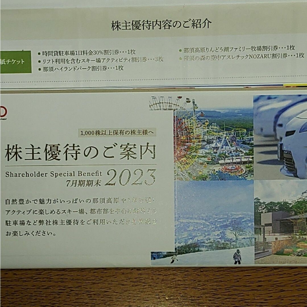 日本駐車場開発 株主優待制度 スキー場開発 割引券 - スキー場