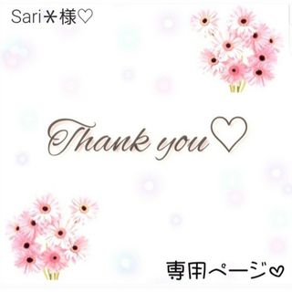 Sari＊様 専用ページ♡ キャンドゥ パル カラージェル 2本 ♡(カラージェル)