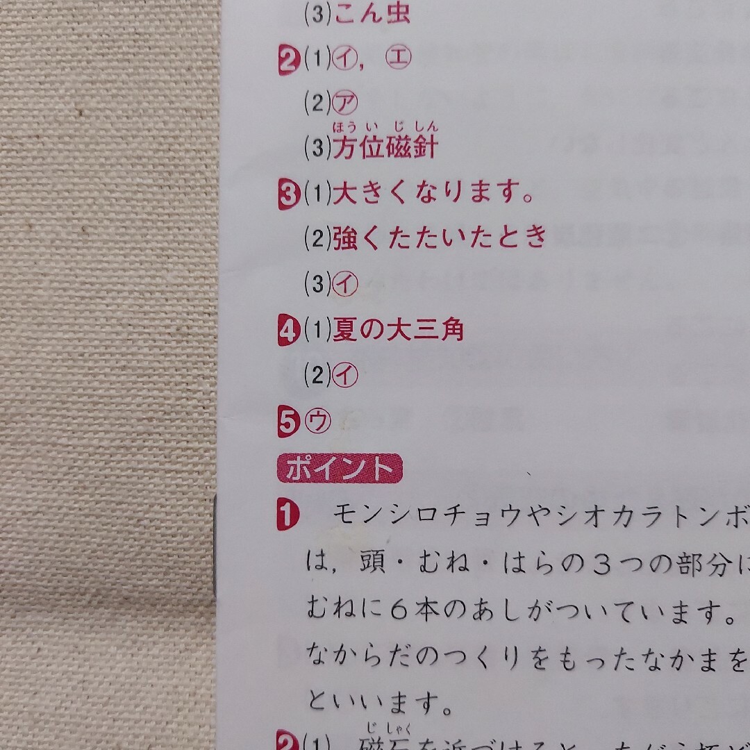 【2冊セット】小6 ぐーんと強くなる(漢字・理科) エンタメ/ホビーの本(語学/参考書)の商品写真