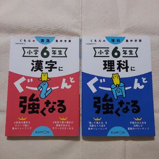 【2冊セット】小6 ぐーんと強くなる(漢字・理科)(語学/参考書)