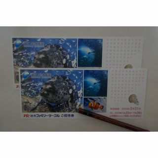 新江ノ島水族館　ご招待券　２枚セット(水族館)