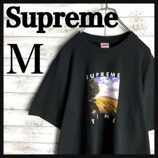 シュプリーム(Supreme)の8889【希少デザイン】シュプリーム☆ワイドシルエット人気tシャツ　美品(その他)