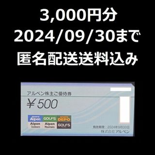 アルペン　株主優待　アルペン株主ご優待券　3000円分(その他)