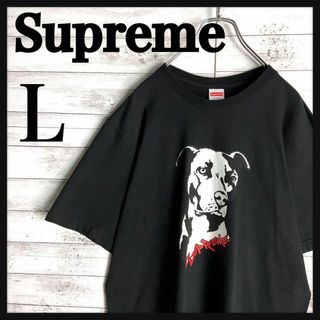 シュプリーム(Supreme)の8900【人気デザイン】シュプリーム☆ビッグロゴ定番カラー半袖tシャツ　美品(その他)