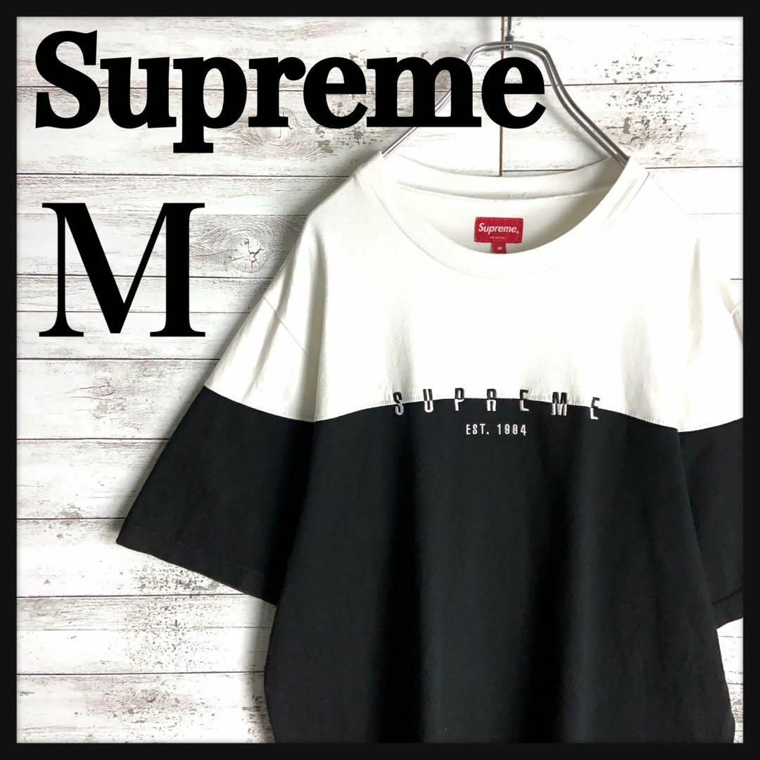 Supreme(シュプリーム)の8904【人気デザイン】シュプリーム☆刺繍ロゴ バイカラーtシャツ　美品 その他のその他(その他)の商品写真