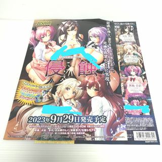 PCゲーム 侵蝕　フライヤー2枚セット(印刷物)