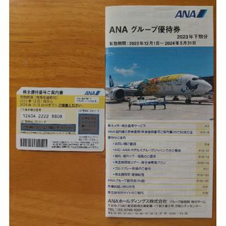 エーエヌエー(ゼンニッポンクウユ)(ANA(全日本空輸))のANA株主優待券(その他)