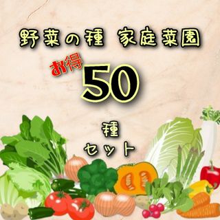 野菜の種 お得50種セット！ ケール 紅芯大根 エゴマ 九条ネギ 家庭菜園 種子(その他)