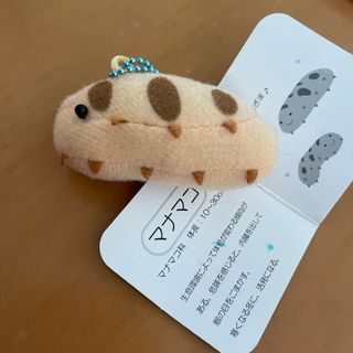 水族館　ぬいぐるみ　なまこ(ぬいぐるみ)