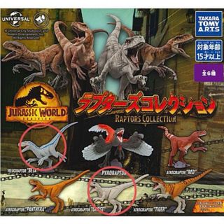 Takara Tomy - ジュラシックワールド　ガチャ　恐竜ガチャガチャ　ミニフィギュア