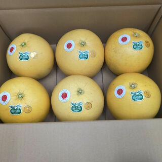熊本県産晩白柚6個入り(フルーツ)