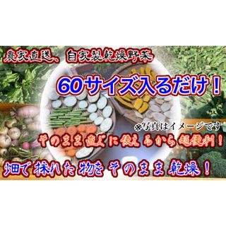 農家自家製お任せ乾燥野菜　60サイズ入るだけ発送！期間限定値下げ！(乾物)