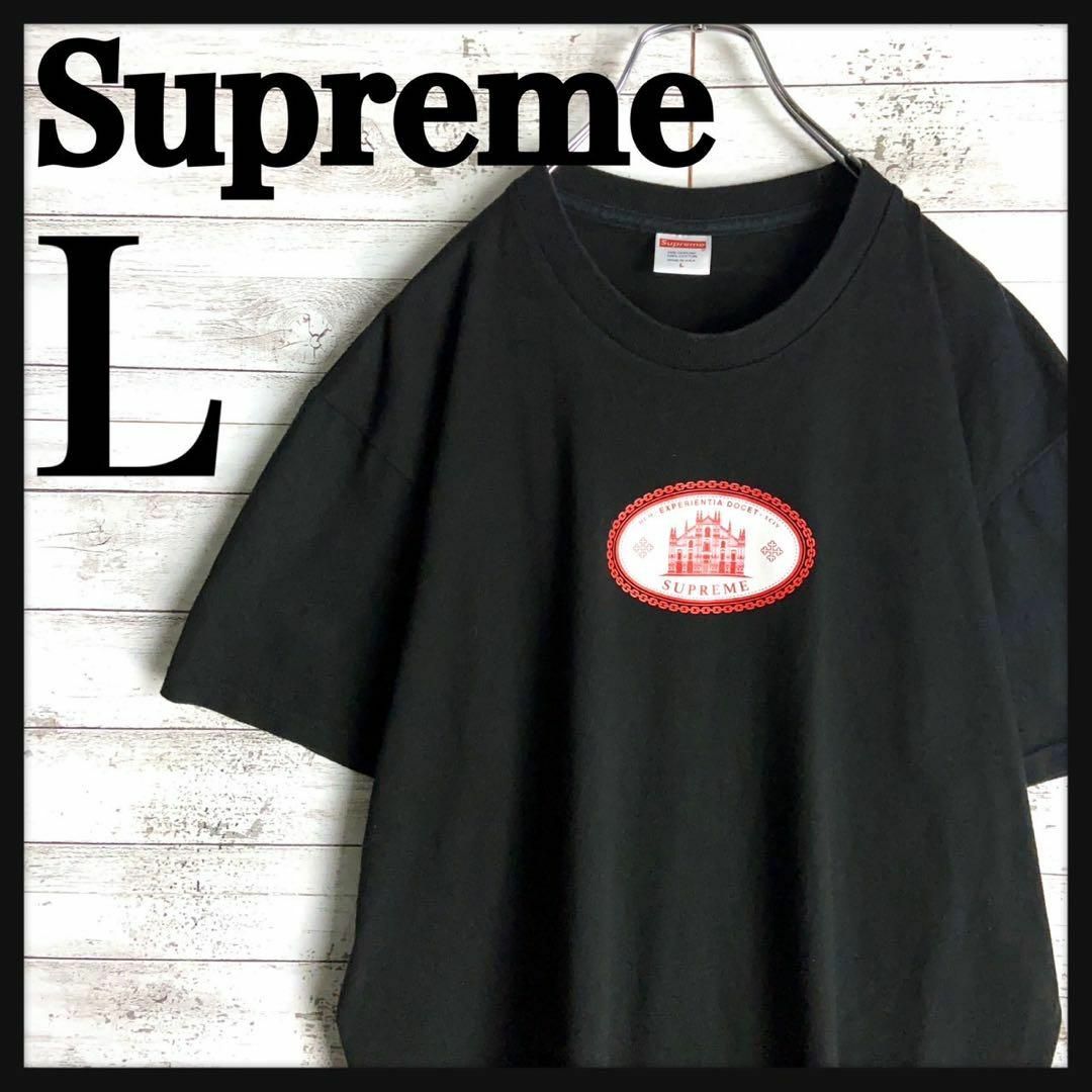 Supreme(シュプリーム)の8910【人気Lサイズ】シュプリーム☆センターロゴ定番カラーtシャツ　美品 その他のその他(その他)の商品写真