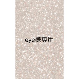 eye様専用出品(ハンドバッグ)