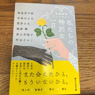 私たちの特別な一日(文学/小説)