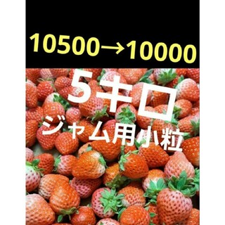 ❤️新鮮ジャム用小粒❤️１キロ約100玉❤️　5キロ　10000円(フルーツ)