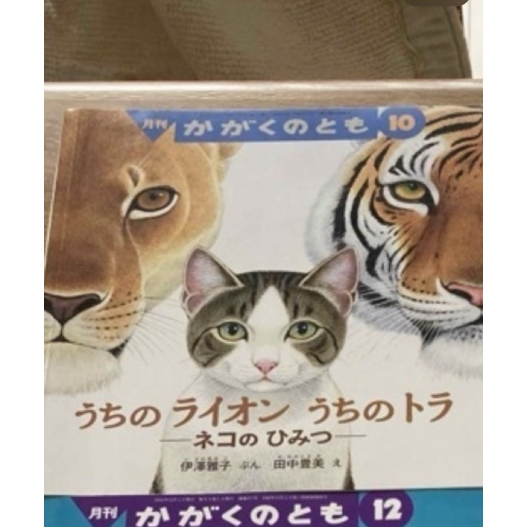 福音館書店(フクインカンショテン)の美品　かがくのとも　1冊 エンタメ/ホビーの本(絵本/児童書)の商品写真