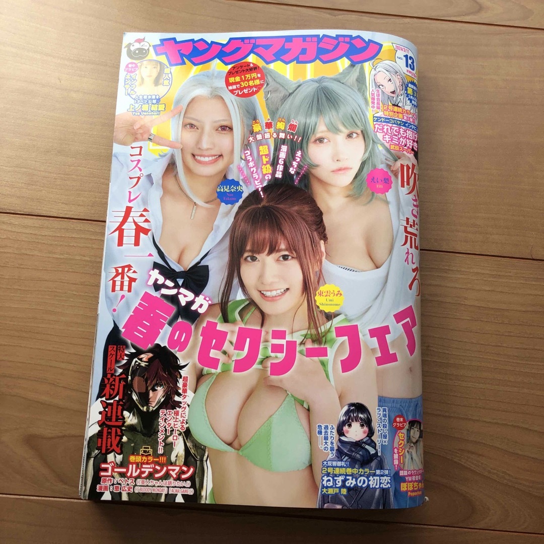 講談社(コウダンシャ)のヤングマガジン 2024年 3/11号 [雑誌]No.13 エンタメ/ホビーの雑誌(アート/エンタメ/ホビー)の商品写真