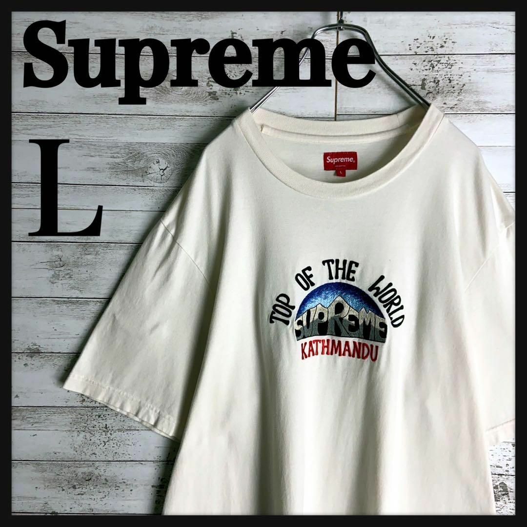 Supreme(シュプリーム)の8912【希少Lサイズ】シュプリーム☆刺繍アーチロゴ人気カラーtシャツ　美品 その他のその他(その他)の商品写真