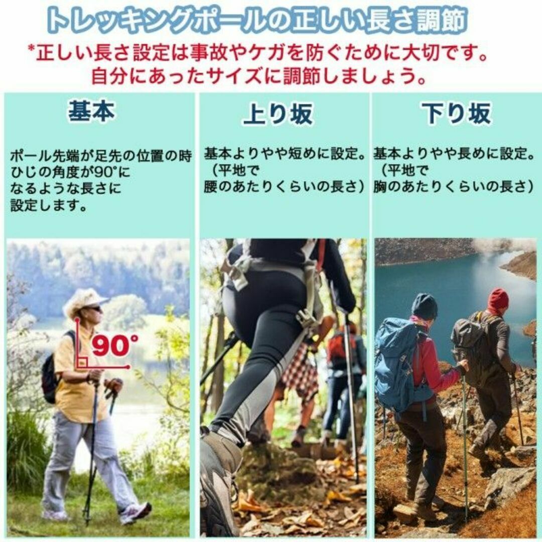 (2本セット/銀T型) 登山 トレッキング ポール ノルディック 58ZA スポーツ/アウトドアのアウトドア(登山用品)の商品写真