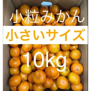 可哀想シリーズ②みかん　10kg    M以下サイズ(フルーツ)