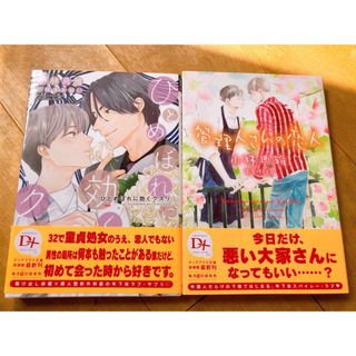 小林典雅2冊セット ひとめぼれに効くクスリ 管理人さんの恋人(ボーイズラブ(BL))