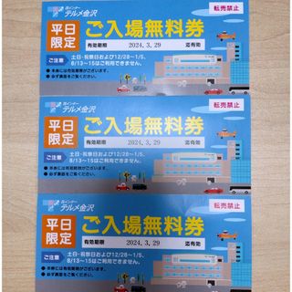 テルメ金沢入場無料券　3枚(その他)