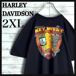 ハーレーダビッドソン(Harley Davidson)の8926【ビッグサイズ】ハーレーダビッドソン☆両面プリントtシャツ　美品(その他)