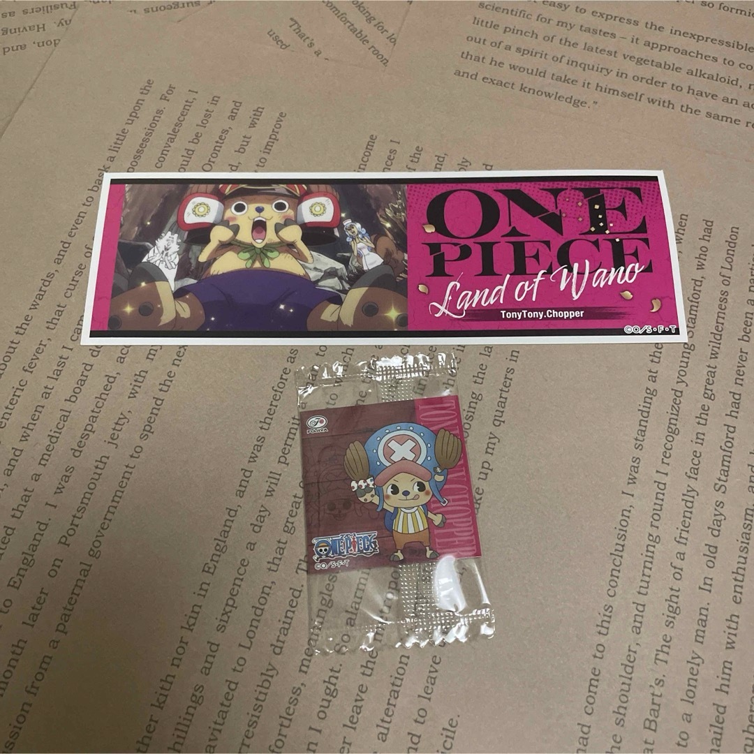 ONE PIECE(ワンピース)のオーロラアクリルスタンド チョッパー 【おまけ付き】 エンタメ/ホビーのおもちゃ/ぬいぐるみ(キャラクターグッズ)の商品写真