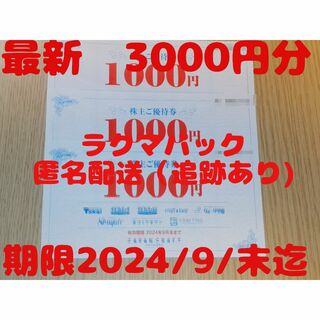 ジャパンクラフト　株主優待券　3000円分(ショッピング)