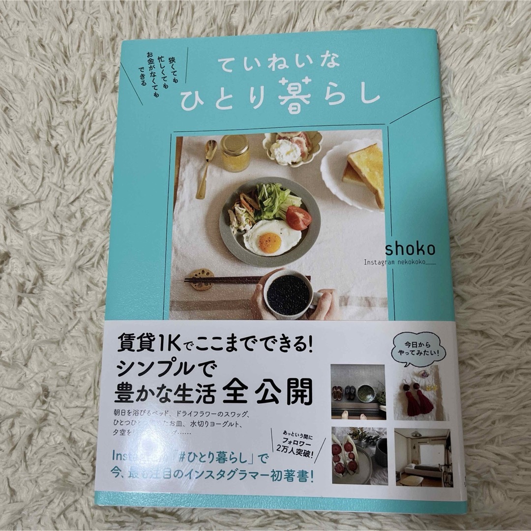 ていねいなひとり暮らし エンタメ/ホビーの本(住まい/暮らし/子育て)の商品写真