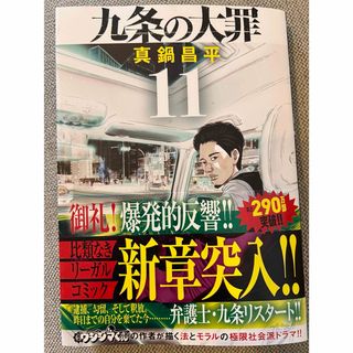 九条の大罪　11巻(青年漫画)