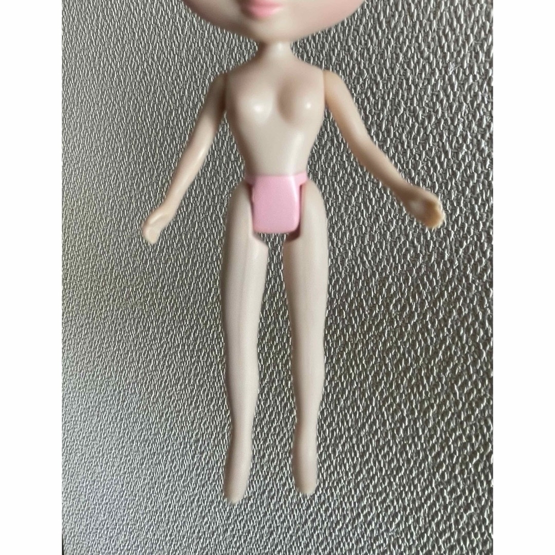 Takara Tomy(タカラトミー)のプチブライス プリンプピッグ ハンドメイドのぬいぐるみ/人形(人形)の商品写真