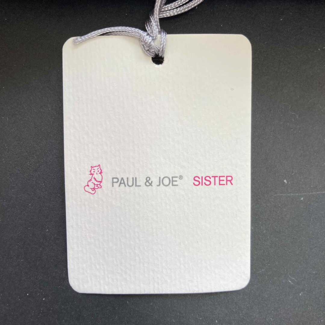 PAUL & JOE SISTER(ポール&ジョーシスター)の【値下げ】ポール&ジョー シスター　レディース2WAY手袋 レディースのファッション小物(手袋)の商品写真